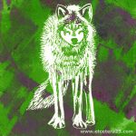 2020 Linol Wolf 01